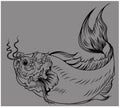 Hand drawn koi fish in Dragon head Royalty Free Stock Photo