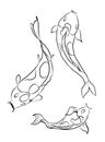 Koi fish vector for coloring book on isolated background. Royalty Free Stock Photo
