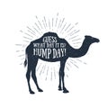 Hand drawn label with textured camel vector illustration and lettering. Royalty Free Stock Photo