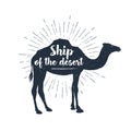 Hand drawn label with textured camel vector illustration and lettering.