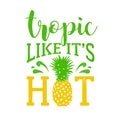 Hand drawn label with textured pineapple vector illustration.