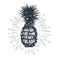 Hand drawn label with textured pineapple vector illustration. Royalty Free Stock Photo