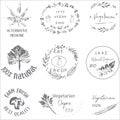 Hand drawn labels and elements collection for organic food and drink.Elements collection for food market labels Royalty Free Stock Photo