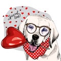 Hand drawn labrador retriever with heart shape baloon. Vector Valentine day greeting card. Cute colorful dog wears