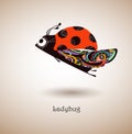 Hand drawn ladybug, color