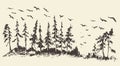 Hand drawn landscape fir forest migratory birds Royalty Free Stock Photo