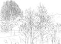 Hand drawn landscape, linear art style. Drawn trees and house on white background