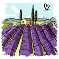 House and lavender fields. Vector sketch illustration