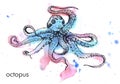 Hand drawn large marine octopus