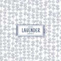 Hand drawn lavender pattern. Lavender flowers pattern. Vintage botanical drawing. Hand drawn lavender seamless pattern.