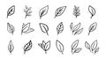 Hand drawn leaf eco set. Black line doodle leaf icons Royalty Free Stock Photo
