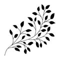 Hand drawn leaves and branch isolated silhouette on white. Doodle birch leaves for design. Vector illustration Royalty Free Stock Photo