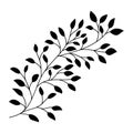 Hand drawn leaves and branch isolated silhouette on white. Doodle birch leaves for design. Vector illustration Royalty Free Stock Photo