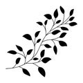 Hand drawn leaves and branch isolated silhouette on white. Doodle birch leaves for design. Vector illustration Royalty Free Stock Photo