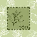 Hand-drawn leaves and branches of tea