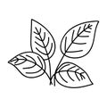 Hand drawn leaves. Vector illustration in doodle style