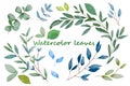 Hand drawn leaves, watercolor illustration. Green and blue spring, easter botanical elements.