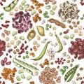 Hand drawn legumes seamless pattern