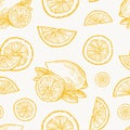 Hand Drawn Lemon, Orange or Tangerine Harvest Vector Seamless Background Pattern. Citrus and Leaves Sketches Card or