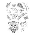 Hand-drawn leopard. Coloring page - zendala, design for spiritual relaxation for adults, vector illustration, isolated Royalty Free Stock Photo