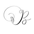 Hand drawn letter B in modern calligraphy style. Boho art print with decorative feathers.