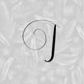 Hand drawn letter J in modern calligraphy style. Boho art print with decorative feathers.