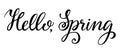 Hand drawn lettering hello spring Royalty Free Stock Photo