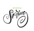 Hand drawn lettering of Hello Spring. Handwritten modern brush calligraphy design.