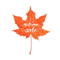 Hand drawn lettering of a phrase Autumn Sale. Vector illustration isolated on white. Shape of maple leaf. Royalty Free Stock Photo