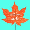 Hand drawn lettering of a phrase Autumn Sale. Vector illustration. Shape of maple leaf. Creative design template. Royalty Free Stock Photo