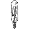 Hand drawn light bulb in vintage engraved style. Electric lamp sketch Royalty Free Stock Photo