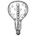 Hand drawn light bulb in vintage engraved style. Electric lamp sketch Royalty Free Stock Photo