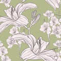 Hand drawn lilies flowers, vector seamless pattern, illustration for design, banner, poster, cover. Royalty Free Stock Photo