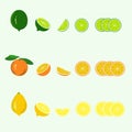 Hand drawn lime, orange, lemon, slices vector Royalty Free Stock Photo