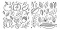 Hand drawn line art autumn fall doodle set elements. Vector sketch illustration. Royalty Free Stock Photo