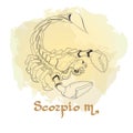 Hand drawn line art of decorative zodiac sign Scorpio. Royalty Free Stock Photo