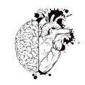 Hand drawn line art human brain and heart halfs. Grunge sketch ink tattoo design on white background vector illustration