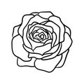 Hand drawn line art rose flower vector illustration