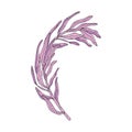 Hand drawn line purple floral twig, botanical pink branches, leaves