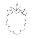 Hand drawn line raspberries fruit berries outline icon vector doodle illustration, suitable for coloring book, logo