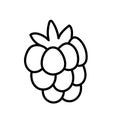 Hand drawn line raspberries fruit berries outline icon vector doodle illustration, suitable for coloring book, logo