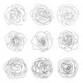 Hand drawn line sketch of roses, simple abstract flowers doddle collection for frame pattern logo floral design Royalty Free Stock Photo