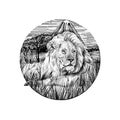 Hand drawn lion, sketch graphics monochrome illustration on white background Royalty Free Stock Photo