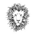 Hand drawn lions head isolated on white background Royalty Free Stock Photo