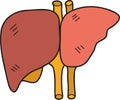 Hand Drawn liver illustration