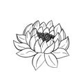 Hand drawn lotus flower isolated on white background. Decorative vector sketch illustration. Floral line art concept Royalty Free Stock Photo