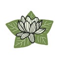 hand drawn lotus flower with leave vector illustration.