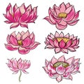 Hand drawn lotus isolate vector set and Japanese tattoo Royalty Free Stock Photo