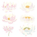 Hand drawn lotus isolate vector set and Japanese tattoo Royalty Free Stock Photo