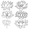 Hand drawn lotus isolate vector set and Japanese tattoo Royalty Free Stock Photo